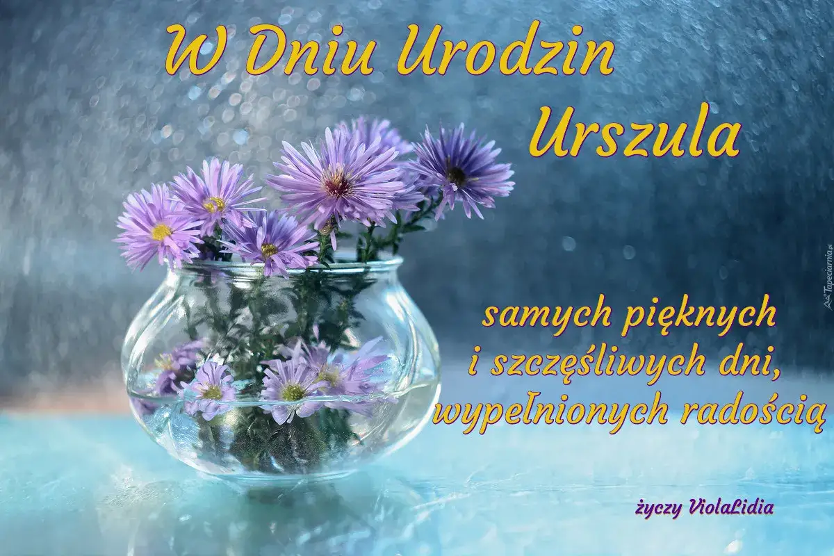 W Dniu Urodzin Urszula! Bukiet fioletowych kwiatów w szklanym wazonie. Życzenia pięknych i radosnych dni.