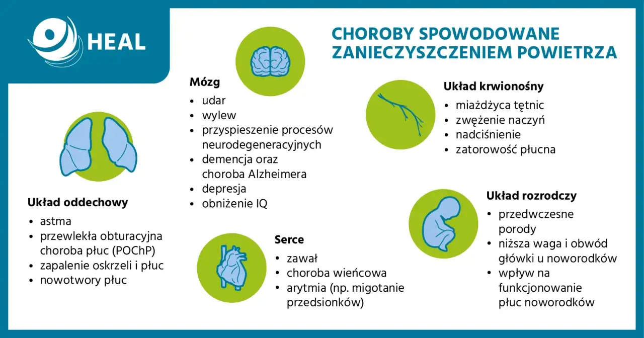 Zanieczyszczenie powietrza powoduje choroby: udar, astmę, zawał, problemy z płucami i układem rozrodczym.