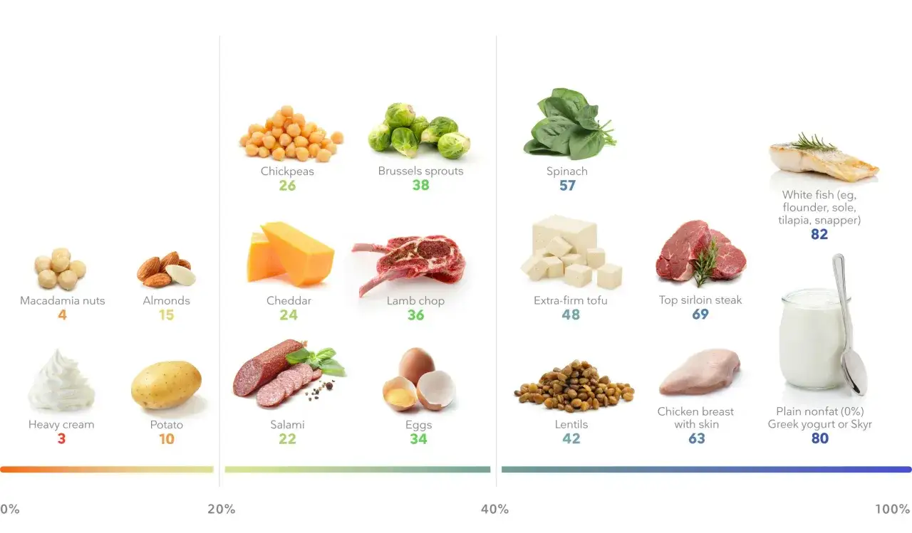 Visuelle Proteine Lebensmittel Tabelle: Nüsse, Hülsenfrüchte, Fleisch, Fisch, Eier, Milchprodukte & mehr mit Proteingehalten.