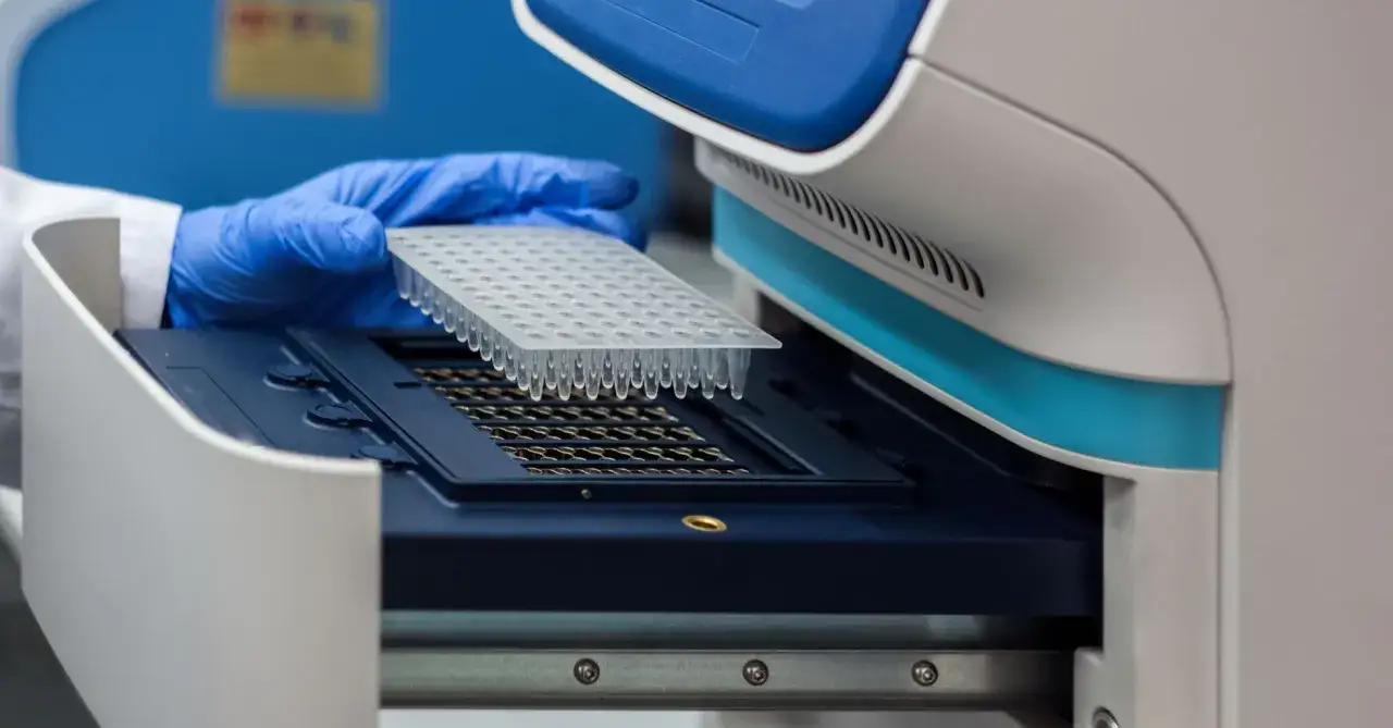 Mano con guante azul colocando placa de pocillos en máquina para pruebas PCR.