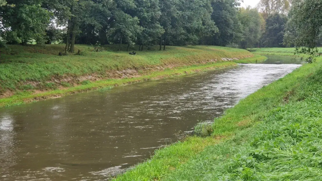 Spokojne, szerokie wody rzeki Kaczawy płyną przez zielone, trawiaste brzegi. W oddali widać drzewa.