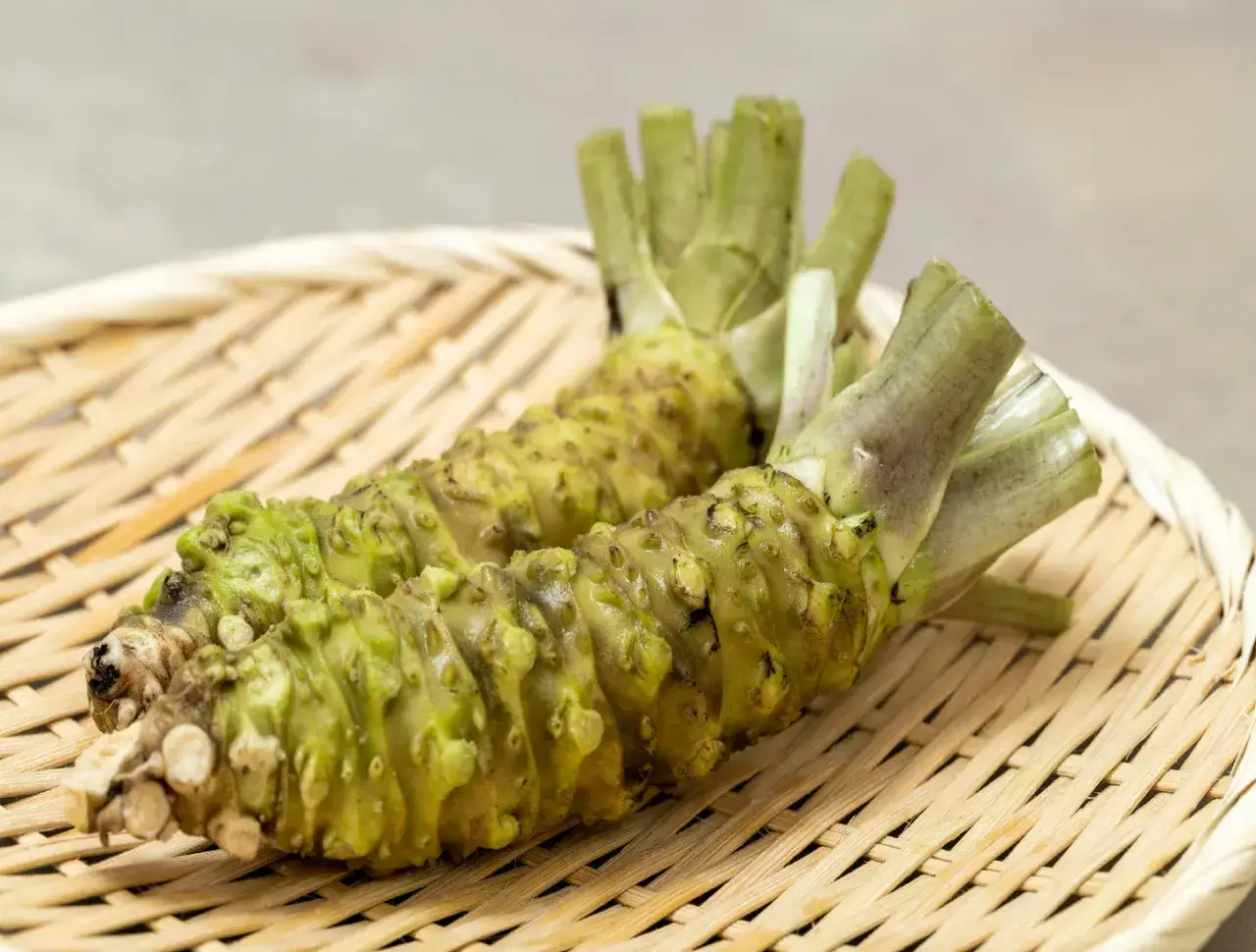 Dwa korzenie wasabi na plecionej macie. To właśnie z nich powstaje ostry, zielony dodatek do sushi.
