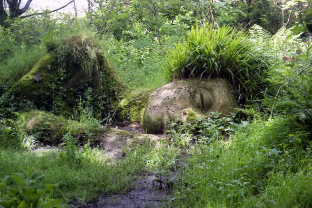 Un volto gigante di pietra, immerso nel verde, sembra ascoltare il dialogo della natura e di un islandese in analisi.