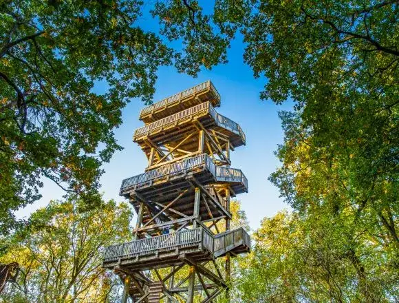 Aussichtsturm Rastst&auml;tte Dammer Berge Panoramablick