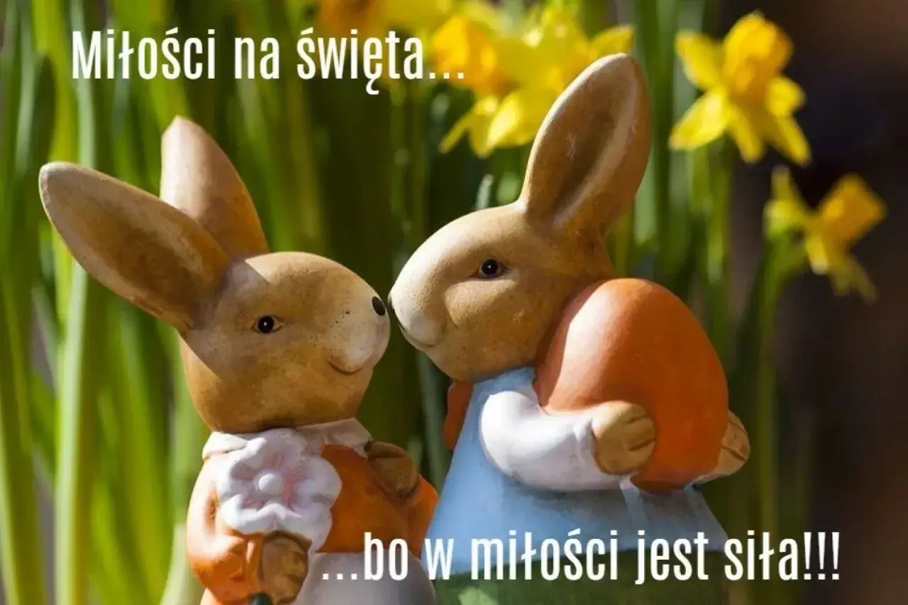 Dwa zajączki wielkanocne, jeden z jajkiem, na tle żonkili. Idealne do wierszyków na wielkanoc.