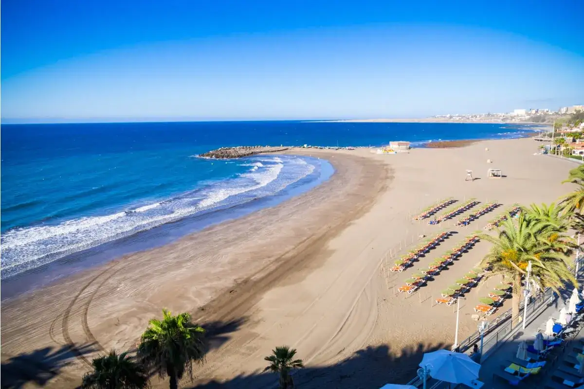 En vidstr&auml;ckt gran canaria strand med turkost hav, gyllene sand och rader av solstolar under palmer.