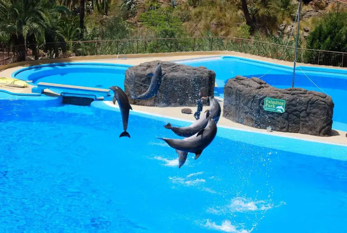 Gran Canaria Familie Wasserpark Palmitos Park