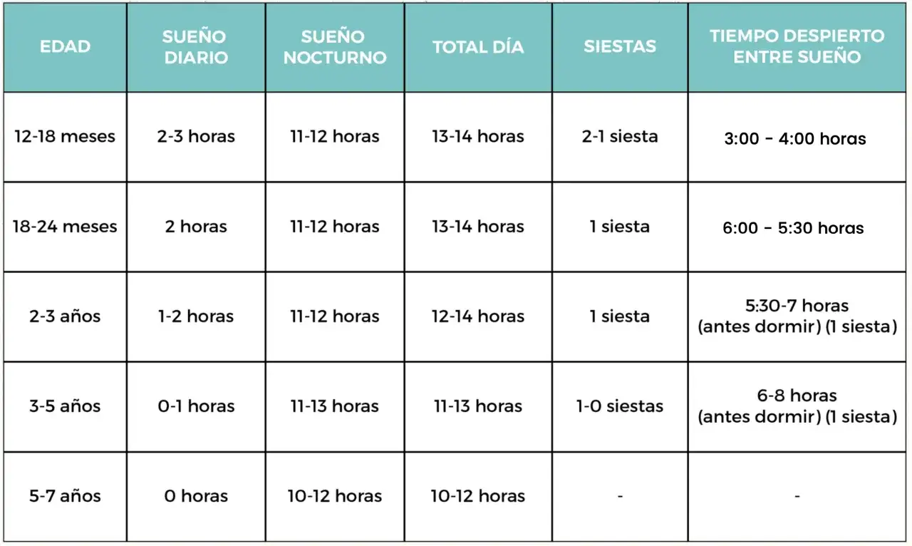 Tabla de horas de sue&ntilde;o y siestas para beb&eacute;s de 1 a&ntilde;o y hasta 7 a&ntilde;os. Un beb&eacute; de 1 a&ntilde;o necesita 2-3 horas de siestas diarias.