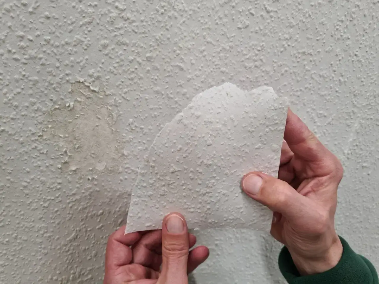 H&auml;nde halten ein St&uuml;ck abgel&ouml;ste Raufasertapete hoch, um einen besch&auml;digten Bereich an der Wand zu inspizieren.
