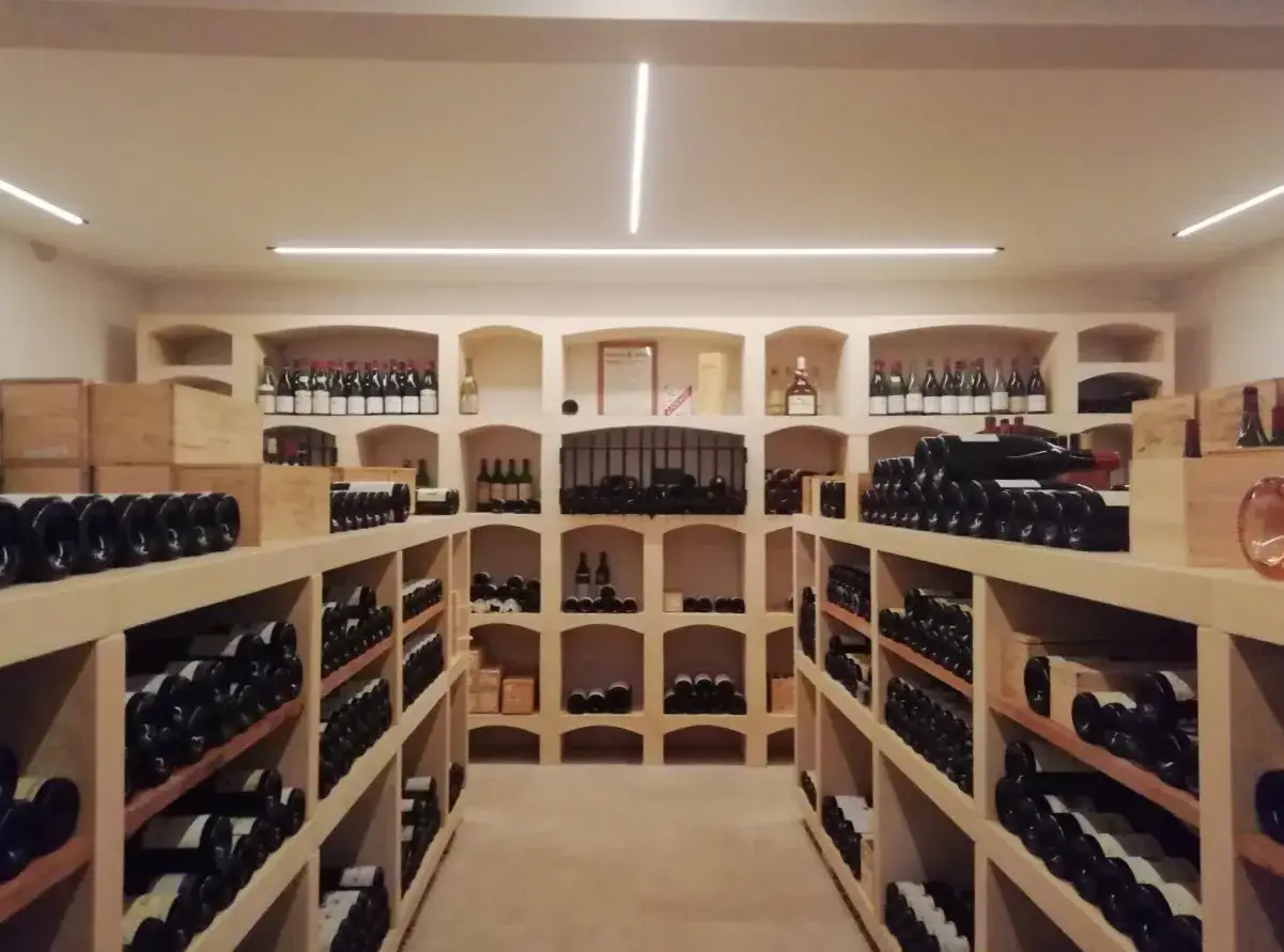 Une cave à vin bien organisée, idéale pour savoir comment choisir et conserver vos bouteilles.
