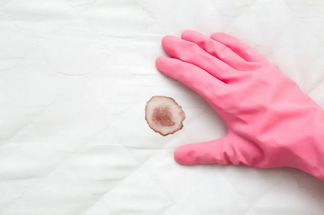 Rosa Handschuh neben braunem Fleck auf wei&szlig;er Matratze, bereit, blut flecken entfernen.