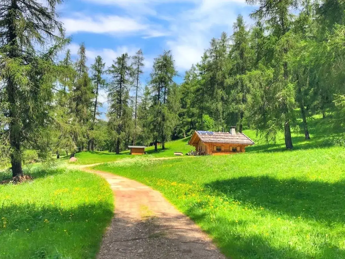 Sentiero sterrato tra prati verdi e alberi alti, conduce a un rifugio in legno. Ideale per **malosco passeggiate** nella natura.