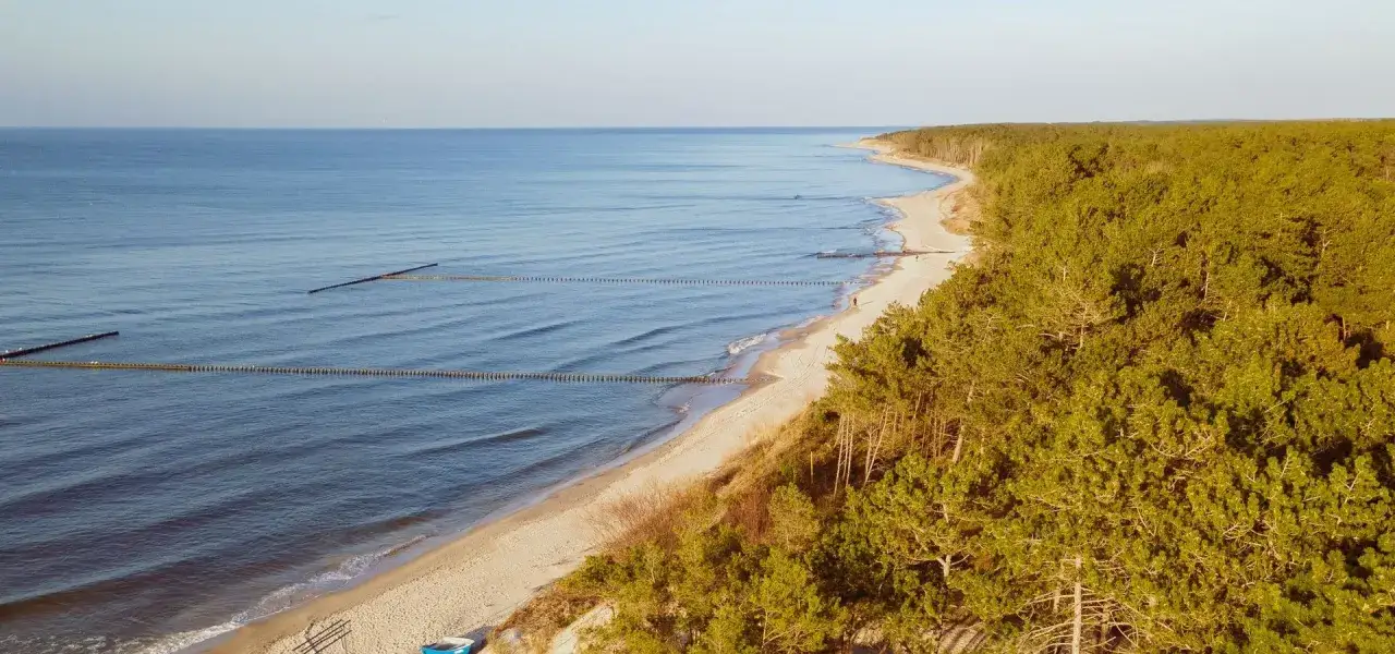 Spokojna plaża z sosnowym lasem, idealne miejsce, gdzie jechać nad morze w listopadzie.
