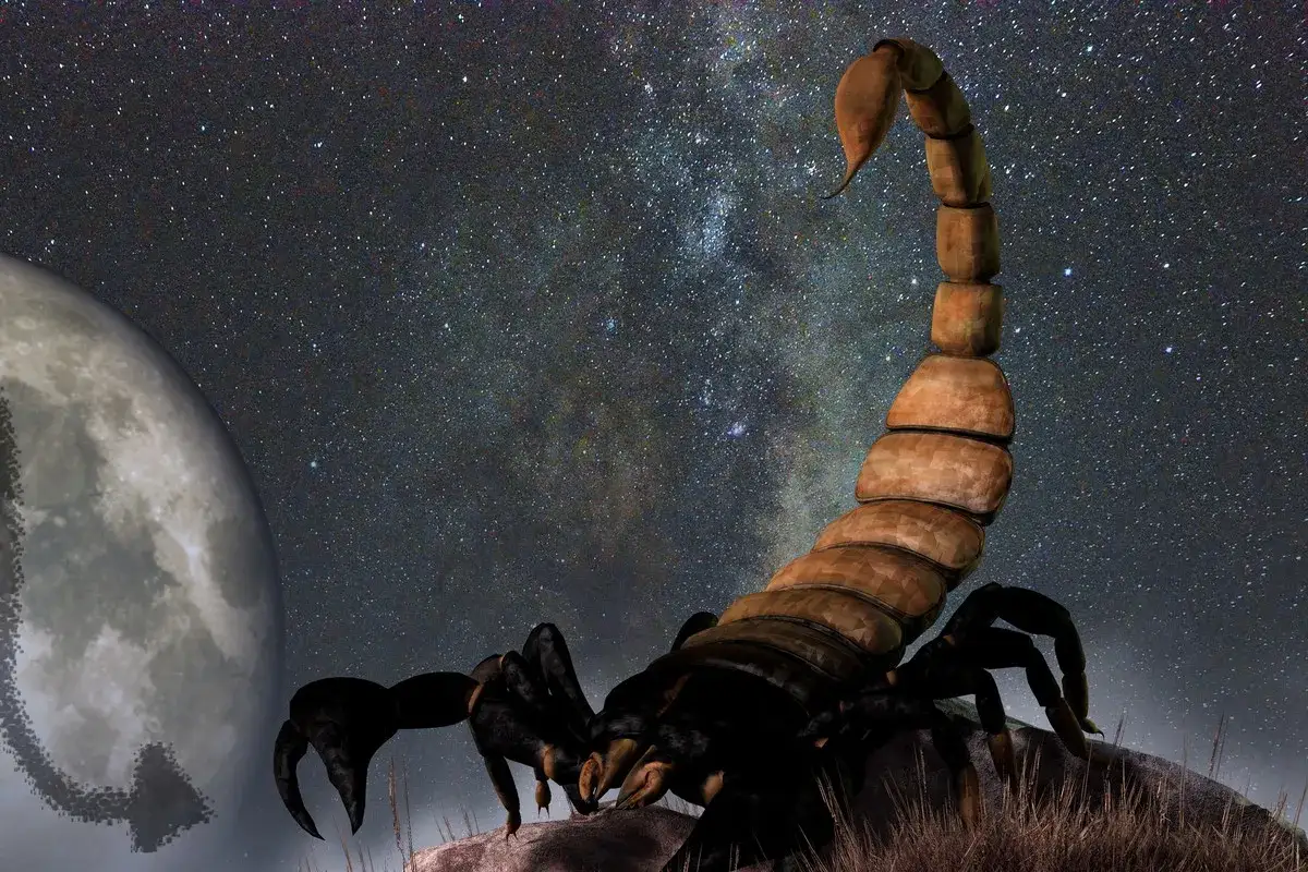 Skorpion na tle nocnego nieba i księżyca. Dziś horoskop skorpion miłosny dzienny zapowiada nam namiętność.