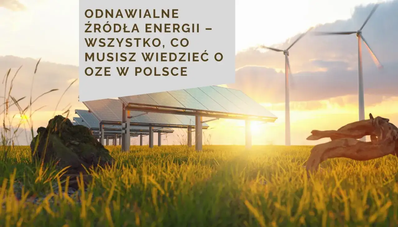 Panele słoneczne i wiatraki na tle zachodzącego słońca. Dowiedz się, co to jest OZE w Polsce.