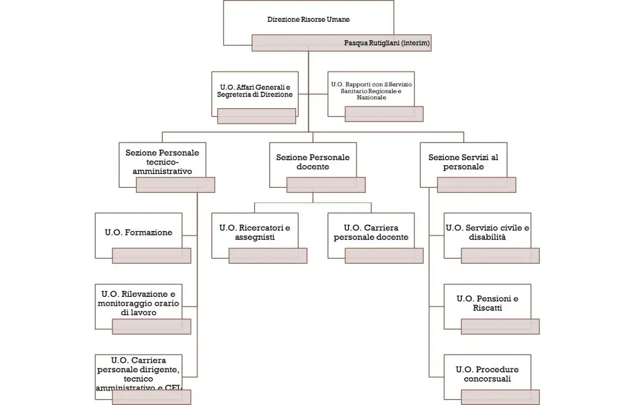 Organigramma che illustra chi sono le risorse umane: Direzione Risorse Umane, sezioni personale tecnico-amministrativo, docente e servizi al personale, con relative unit&agrave; operative.