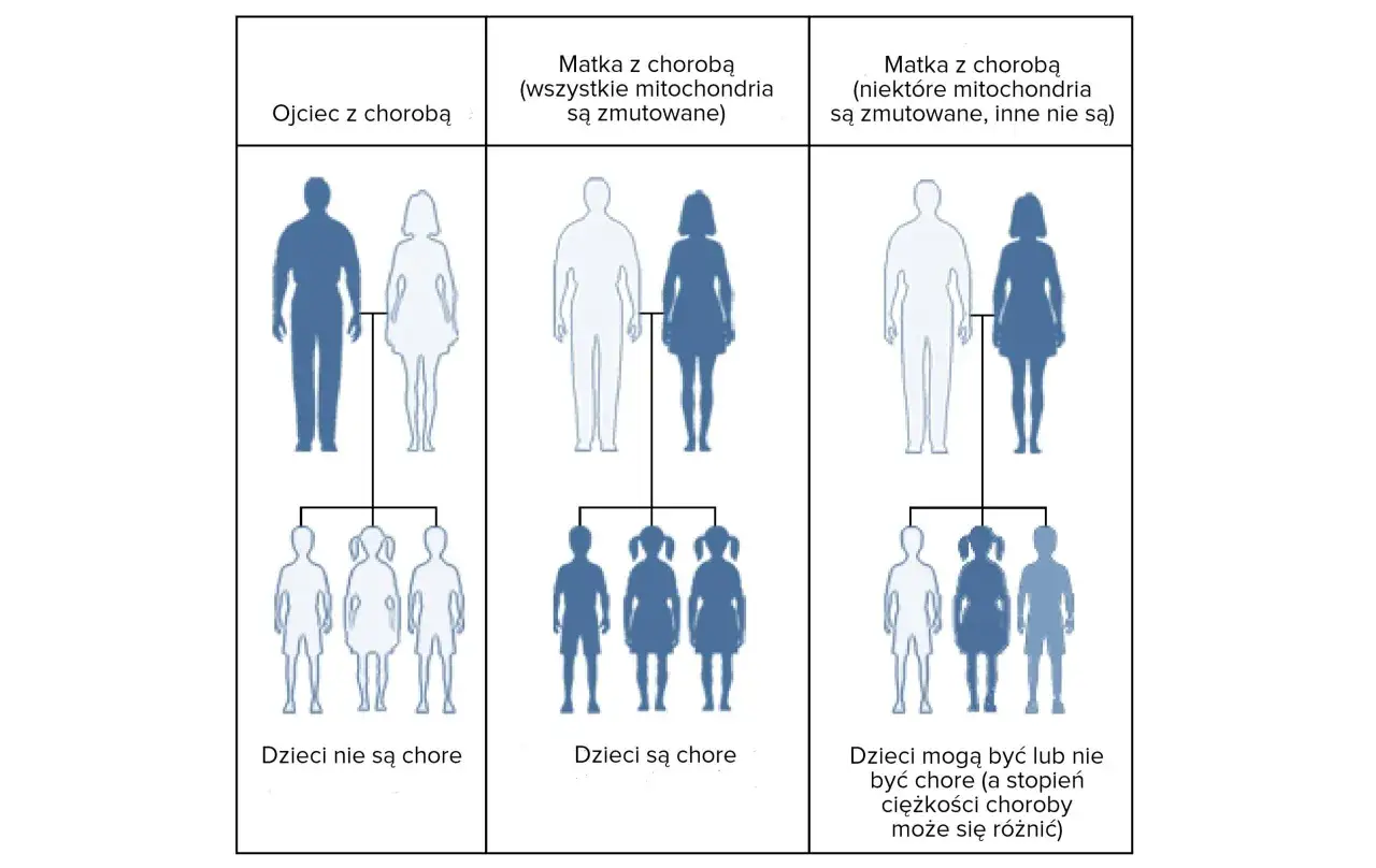 Dziedziczenie chorób genetycznych schemat