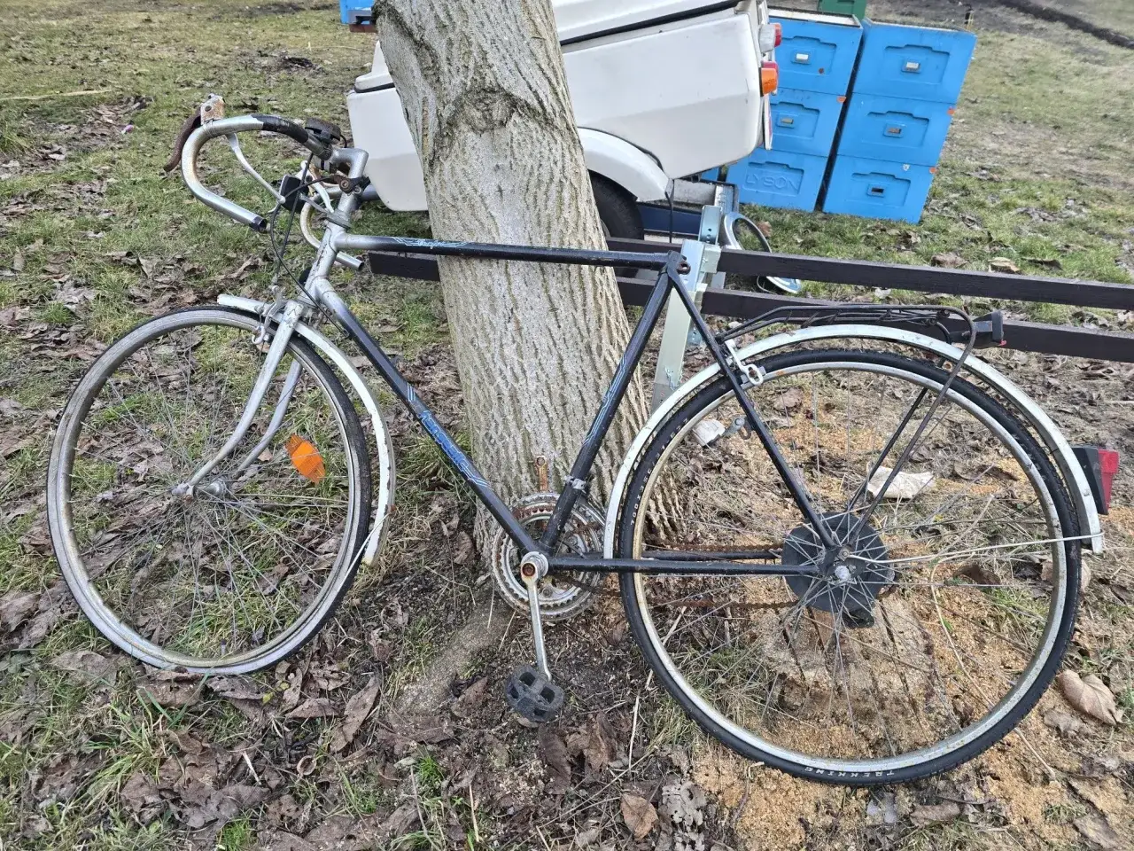 Stary rower oparty o drzewo. Zastanawiasz się, co zrobić ze starym rowerem? Może czas na renowację lub recykling?