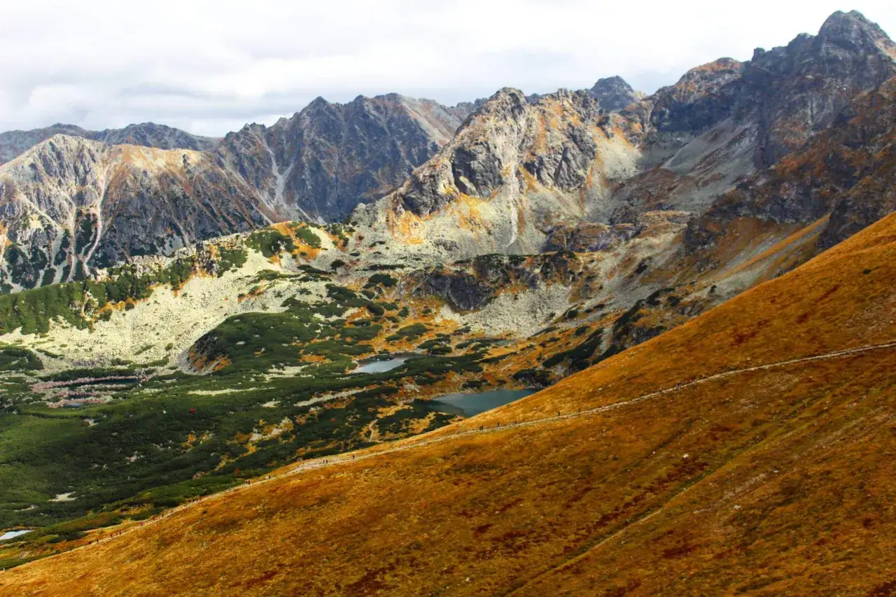 Widok na Tatry z jesienną trawą i zielenią, w oddali widać szlak, którym ile się wchodzi na Kasprowy.