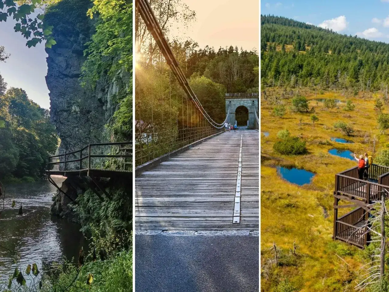 Malownicze atrakcje Czech przy granicy: skalna ścieżka nad rzeką, drewniany most wiszący i widok na torfowisko.