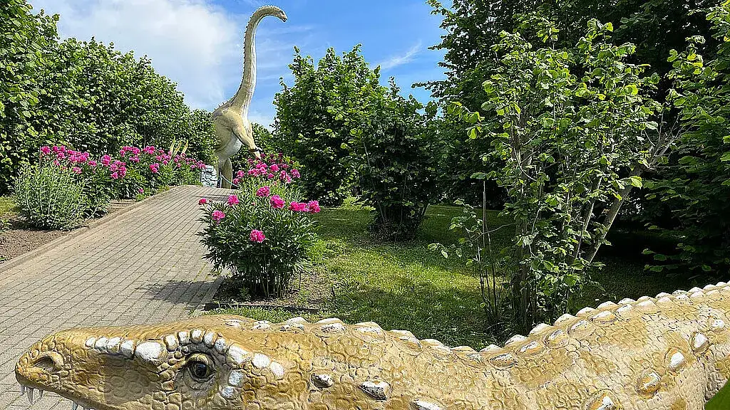 Zoo Safari Borysew Dinopark Kołacinek