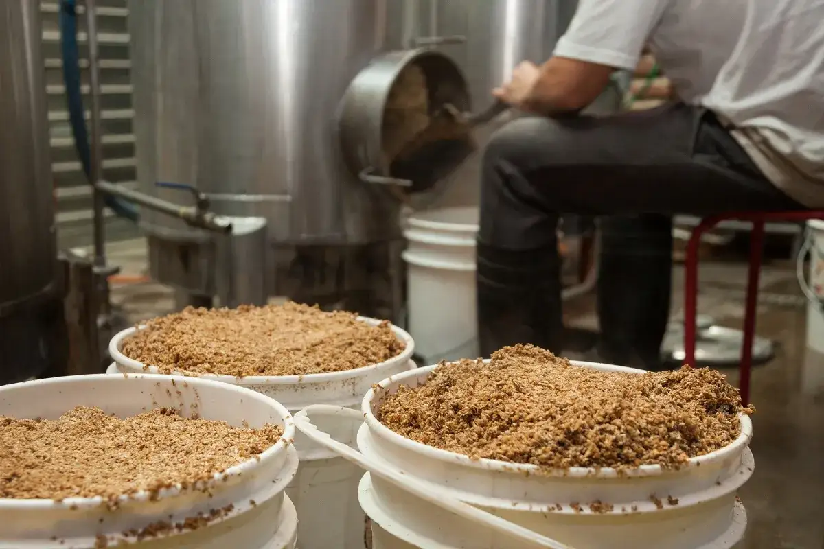 Trois seaux remplis de dr&ecirc;ches, un **malt alternative**, attendent dans une brasserie. Un brasseur travaille en arri&egrave;re-plan.
