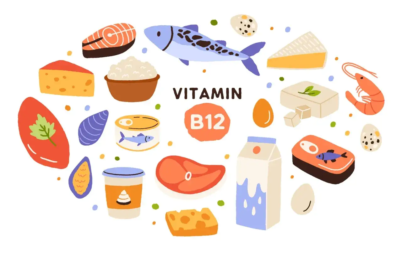 Nährstoffreiche Lebensmittel wie Fisch, Eier, Käse und Milchprodukte sind wichtig, um einem Vitamin B12 Mangel Schwangerschaft vorzubeugen.