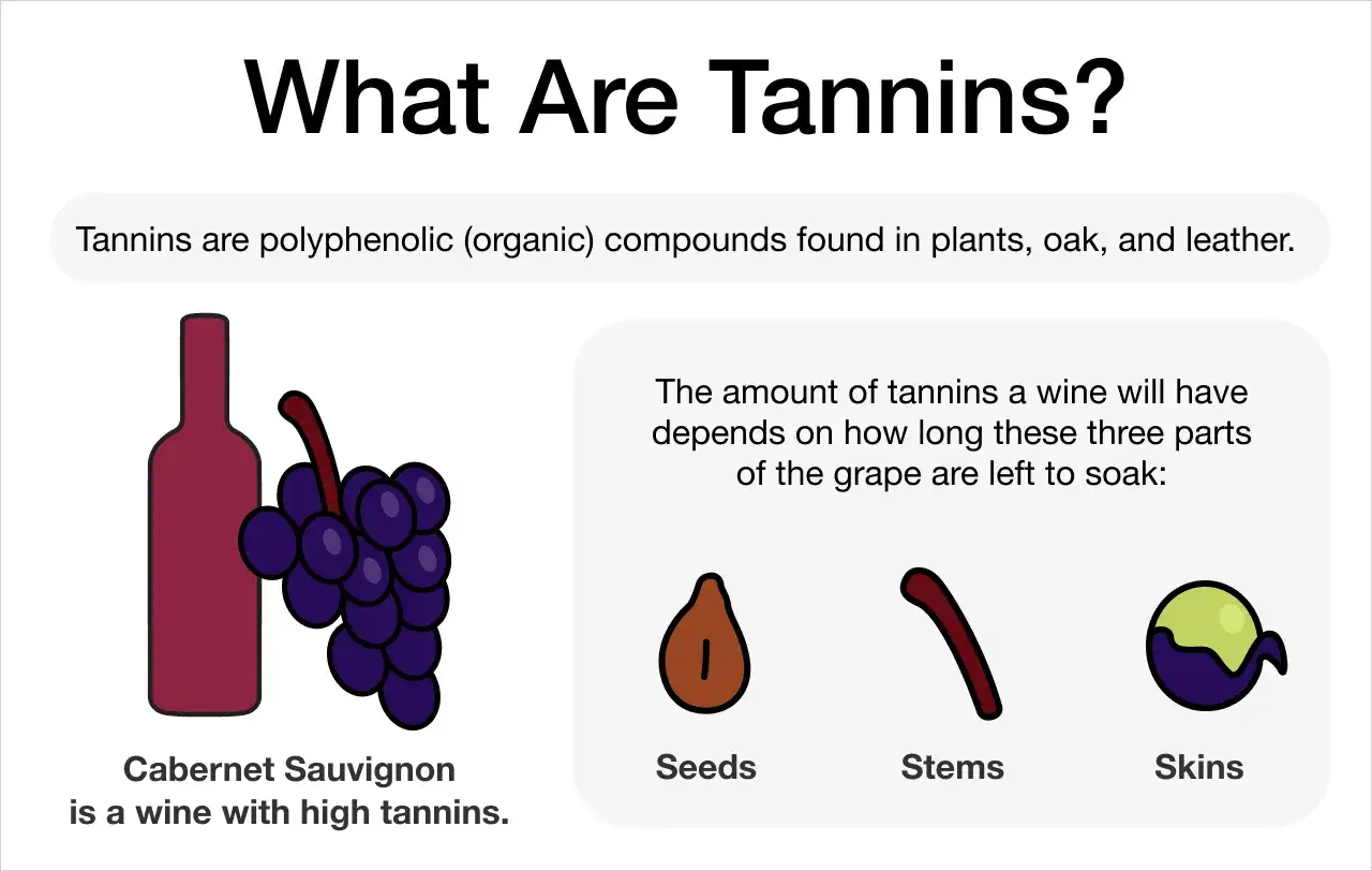 Wino Cabernet Sauvignon ma wysokie taniny. Wyjaśnienie, jak taniny z pestek, łodyg i skórek winogron wpływają na smak.