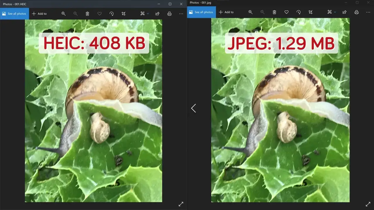 Dwa zdjęcia ślimaków na zielonych liściach. Po lewej plik HEIC 408 KB, po prawej JPEG 1.29 MB.
