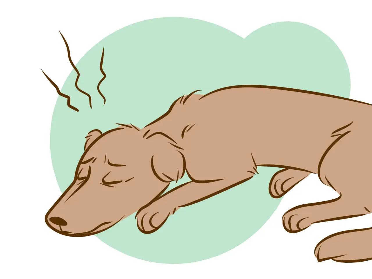 Un perro marrón yace con los ojos cerrados, con vapor saliendo de su cabeza. La imagen evoca la pregunta: cuanto dura un perro agonizando.