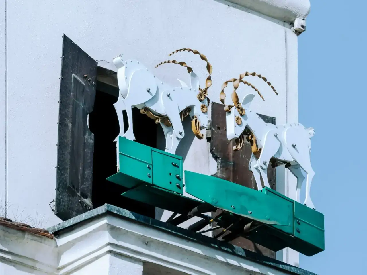 Gdzie są koziołki w Poznaniu? Na ratuszowej wieży, dwa mechaniczne koziołki zderzają się rogami.