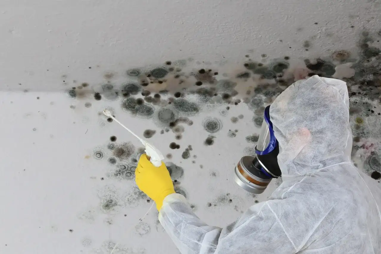 Person in Schutzanzug und Maske sprüht Schimmel an der Decke. Informieren Sie sich über die schimmel entfernen kosten.