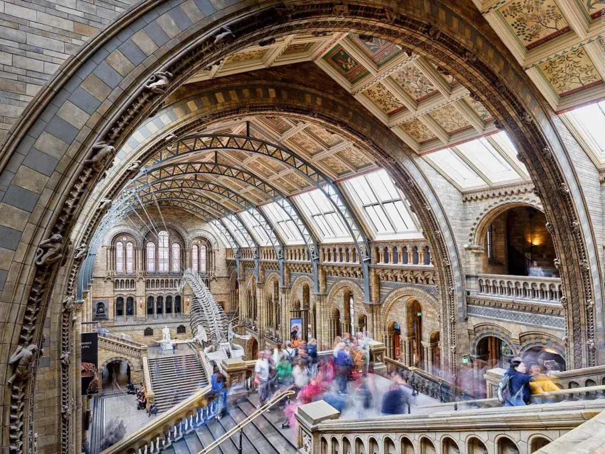 Imponerande arkitektur i Naturhistoriska museet London. Ett skelett av en dinosaurie dominerar den livliga entr&eacute;hallen.