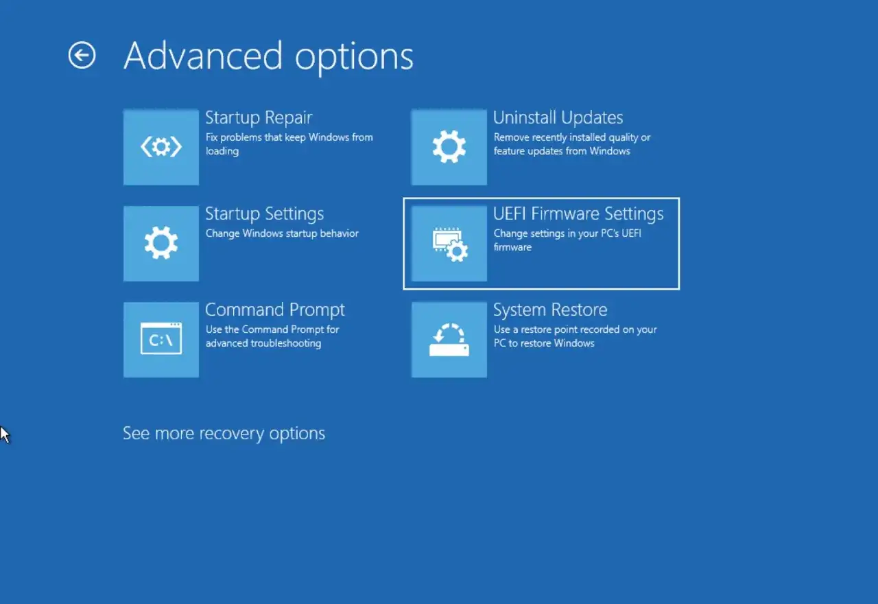Ekran zaawansowanych opcji Windows 11. Wybierz