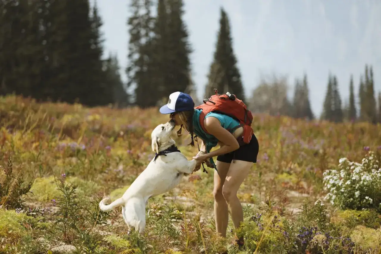 Une randonneuse câline son chien dans un champ fleuri. Elle se demande combien de km peut marcher un chien par jour pour de telles aventures.