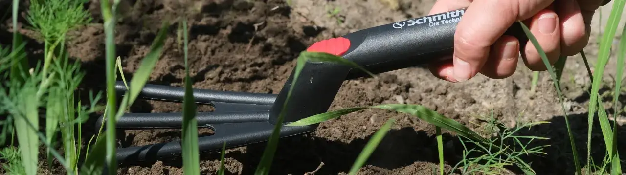 Dłoń trzyma narzędzie ogrodnicze, które służy do wertykulacji i aeracji gleby, przygotowując ją dla młodych roślin.