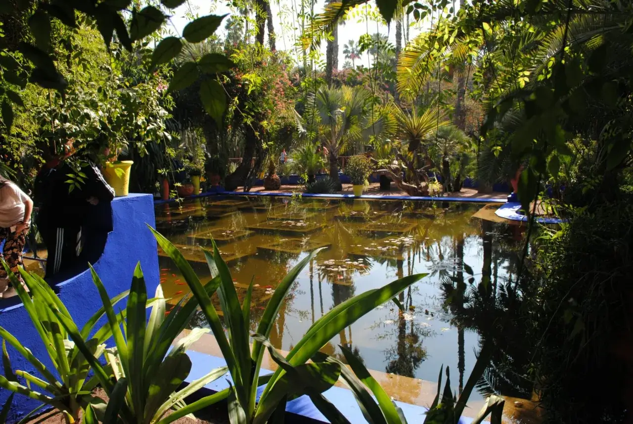 Jardin luxuriant avec un bassin pr&eacute;form&eacute; aux bords bleus vifs, id&eacute;al pour apprendre comment cacher les bords d'un bassin pr&eacute;form&eacute; avec des plantes.