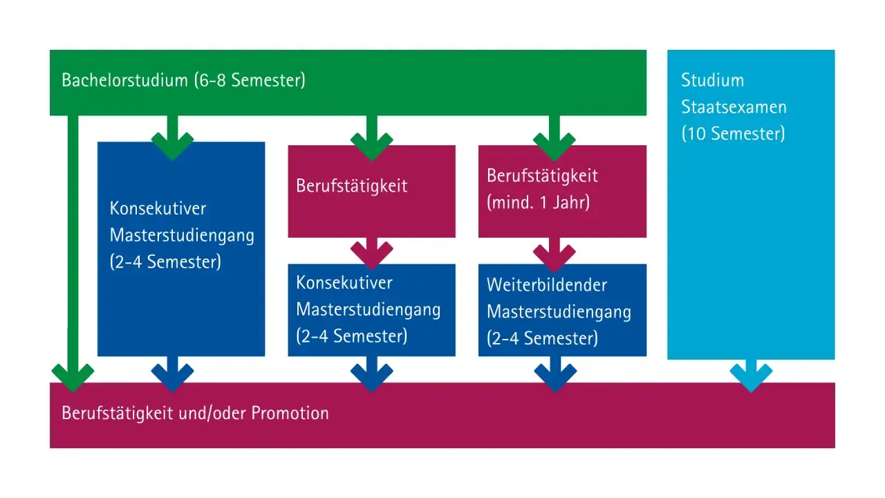 Studienverlauf: Bachelor, Master, Berufst&auml;tigkeit oder Promotion. Der Weg zum Studium Abschluss ist vielf&auml;ltig.