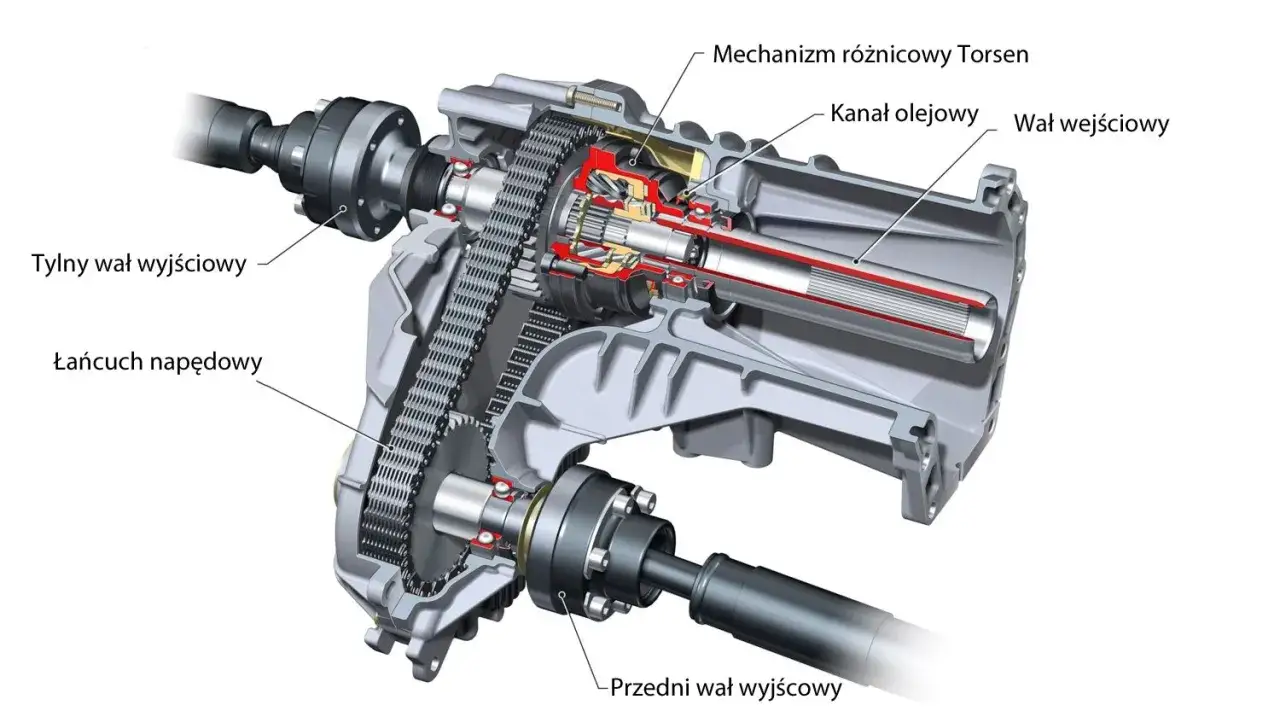 Przekrój reduktora w samochodzie z mechanizmem Torsen, wałem wejściowym, łańcuchem napędowym i wałami wyjściowymi.