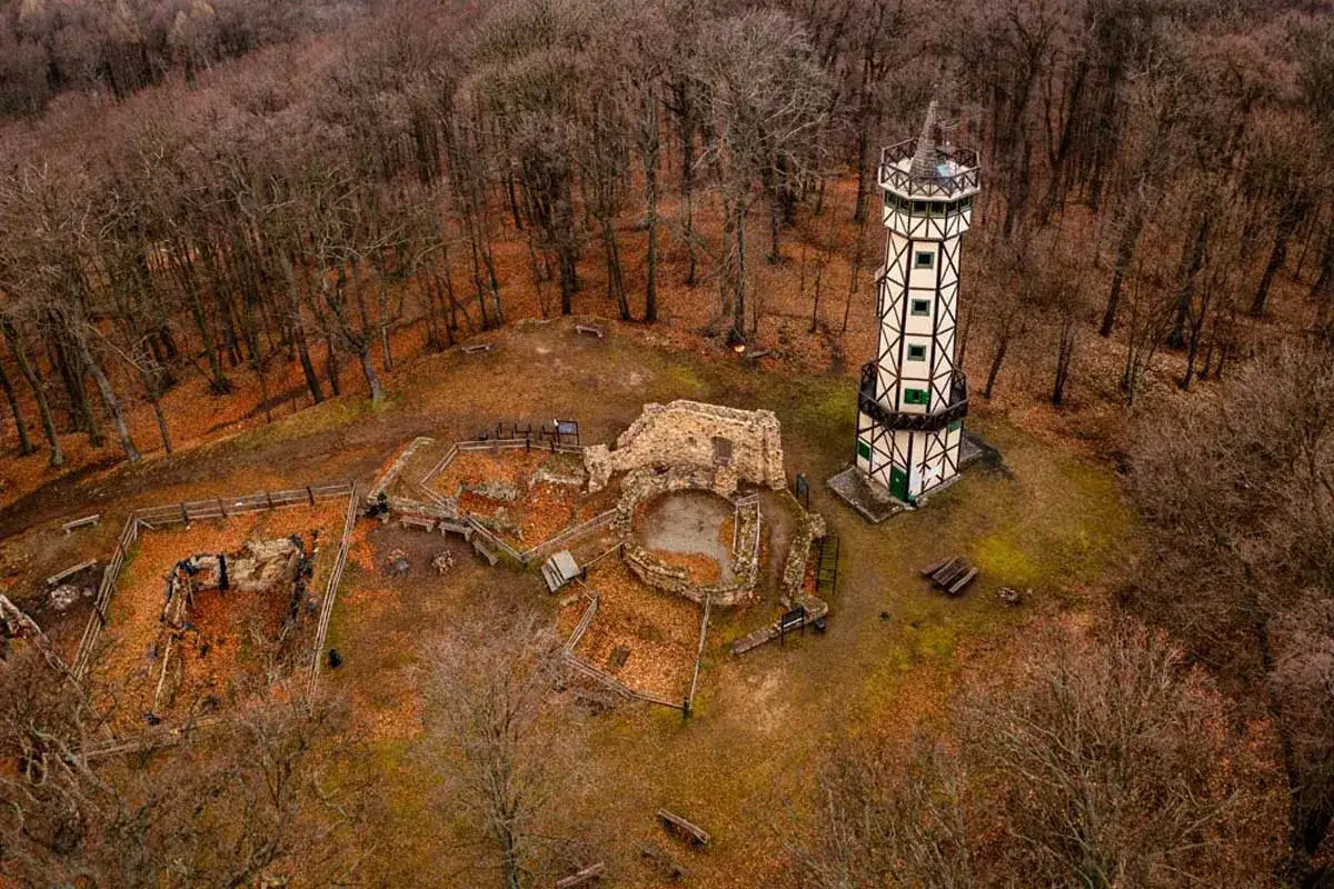 Gromnik wieża widokowa góruje nad jesiennym lasem, obok ruin zamku.