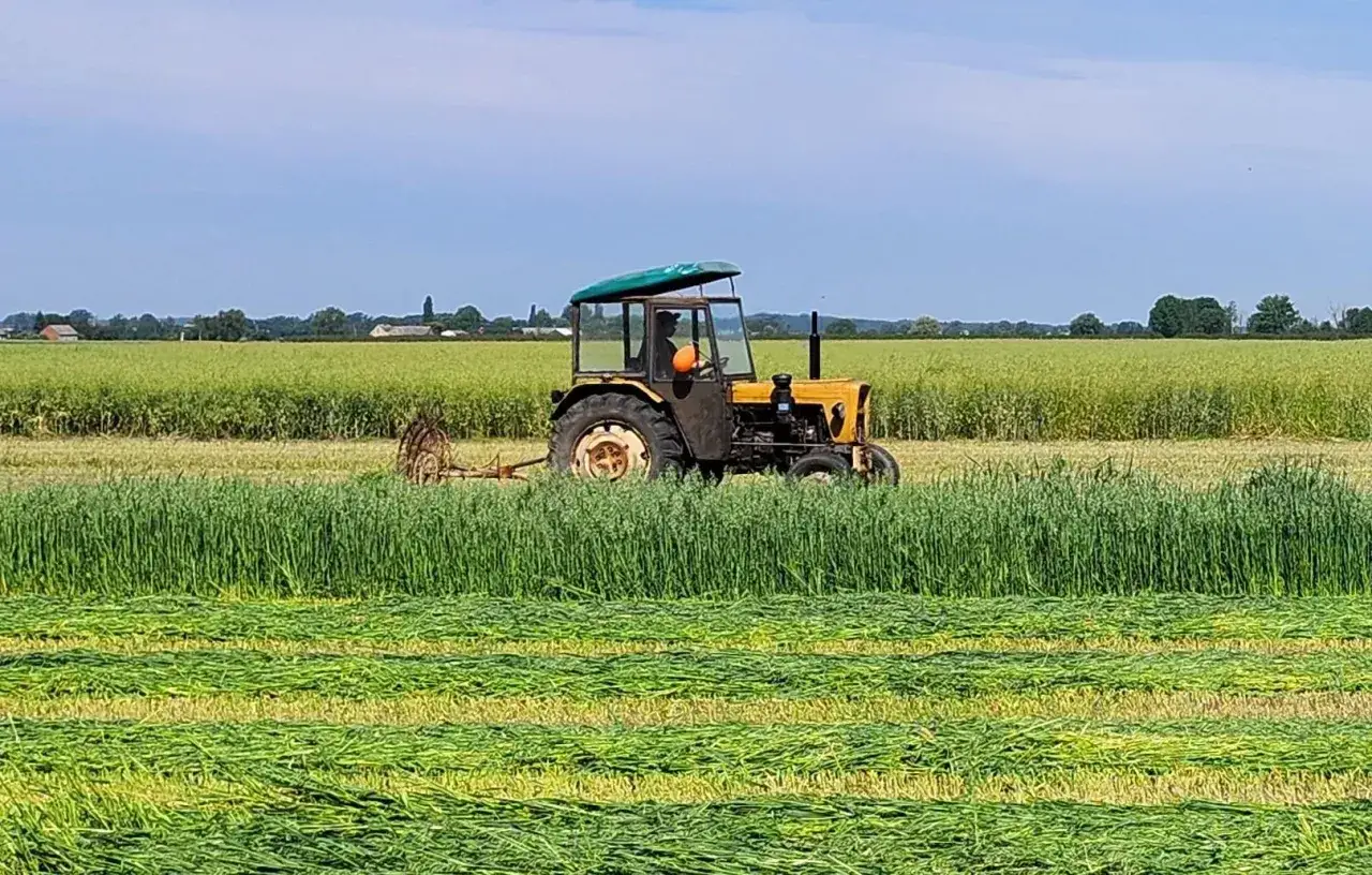 Młody rolnik w żółtym traktorze kosi trawę na polu. Praca wre, a on myśli o rozliczeniu premii.