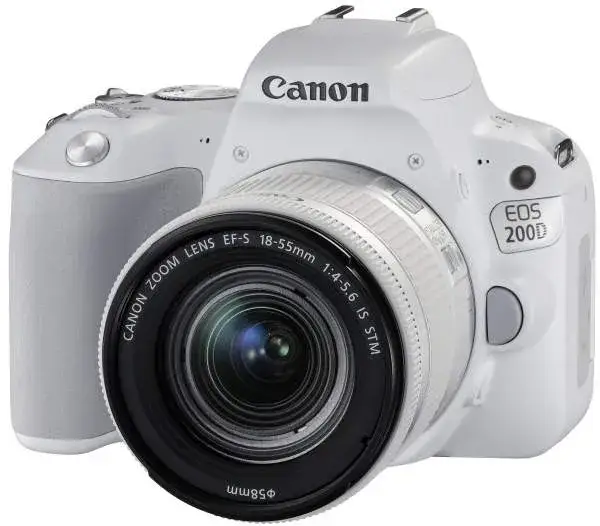 różne modele lustrzanek Canon na białym tle