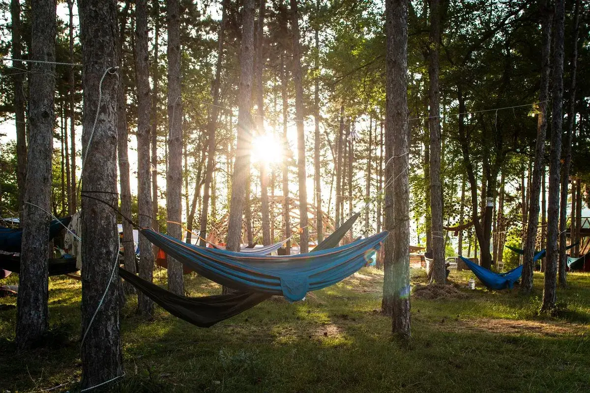 Słońce przebija się przez drzewa, oświetlając las pełen hamaków. Idealne miejsce na relaks i bushcraft.