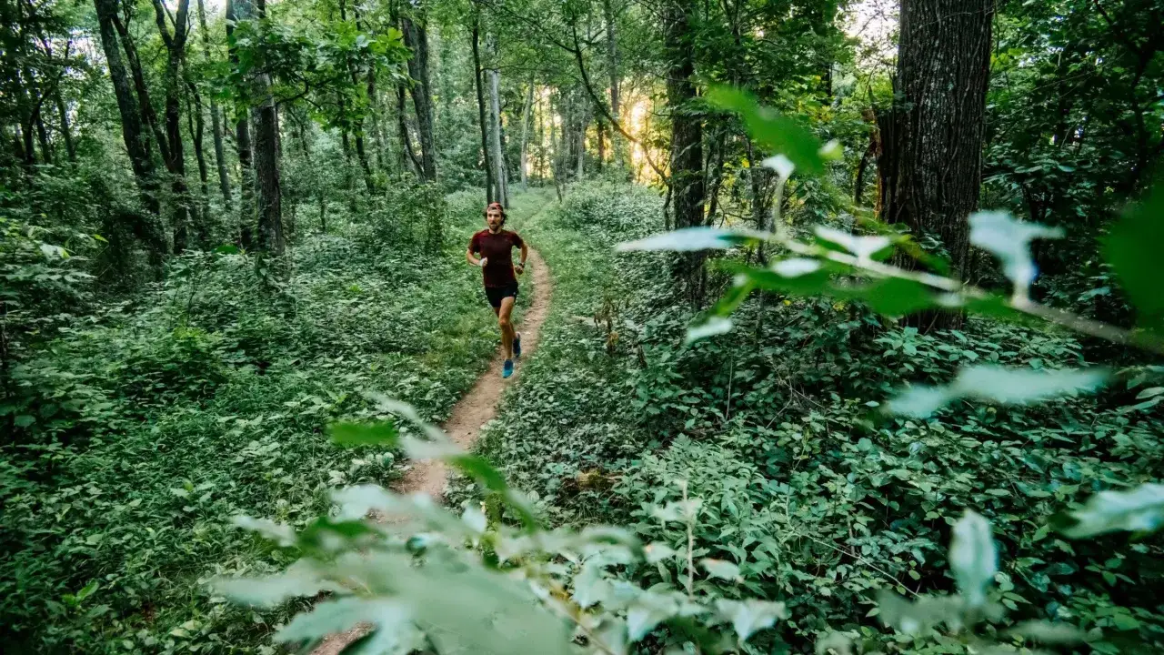 Un homme court sur une piste de course à pied sinueuse à travers une forêt verdoyante. Le soleil filtre à travers les arbres.