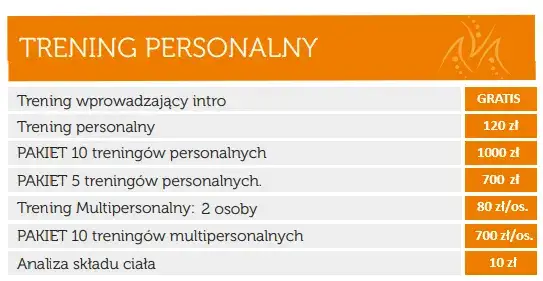 por&oacute;wnanie trening&oacute;w personalnych indywidualny online w parze