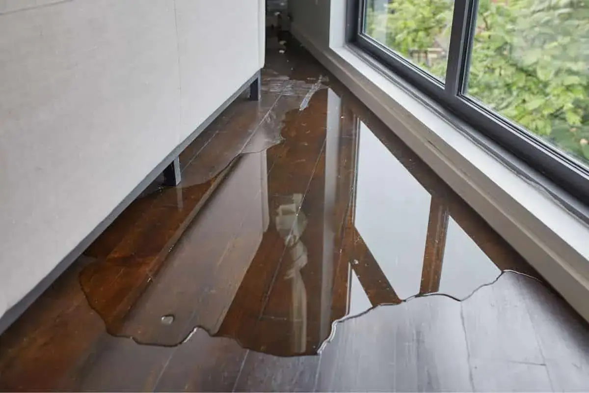 Une flaque d'eau sur un parquet en bois sombre, le **parquet qui gondole** sous l'effet de l'humidit&eacute;. La lumi&egrave;re se refl&egrave;te sur la surface mouill&eacute;e.