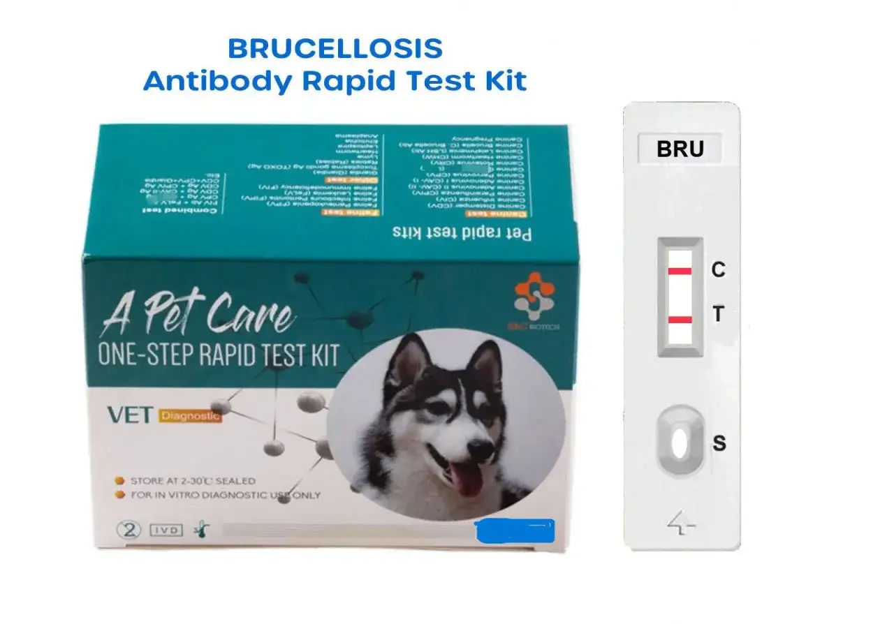 A Pet Care Brucellosis Antibody Rapid Test Kit for dogs, showing a positive result with two red lines.