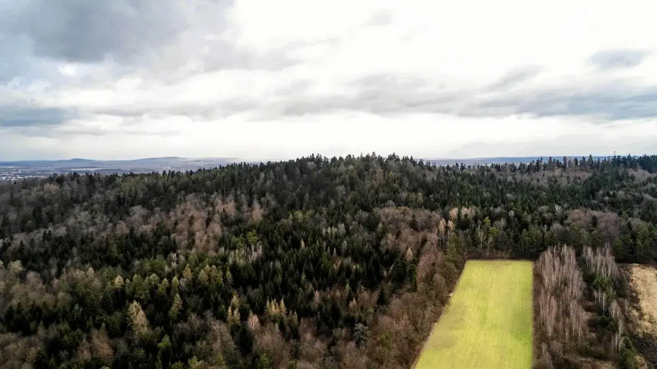 Krajobraz z lotu ptaka, ukazujący gęste lasy i pola na tle łagodnych wzniesień Gór Świętokrzyskich.