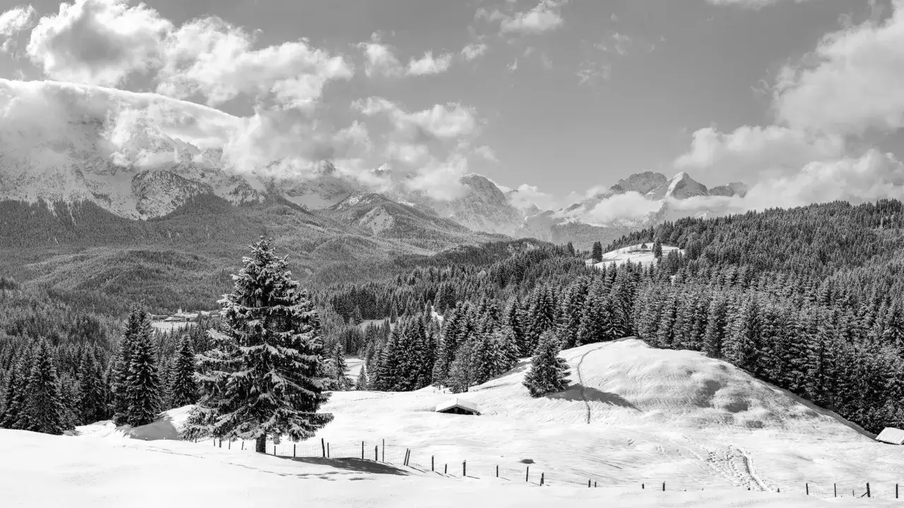 Schwarzer Schnee in der Mediathek: Eine verschneite Berglandschaft mit Nadelb&auml;umen und Wolken.