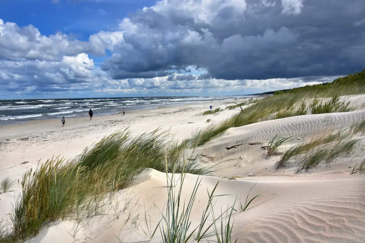 Plaża na mierzei wiślanej z piaszczystymi wydmami porośniętymi trawą. W oddali widać morze i kilka osób spacerujących brzegiem.